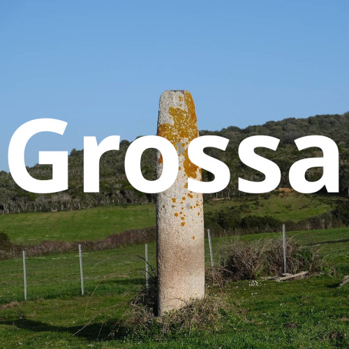 Grossa