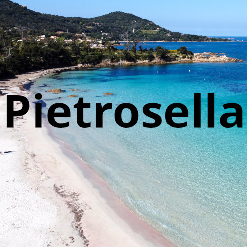 Pietrosella