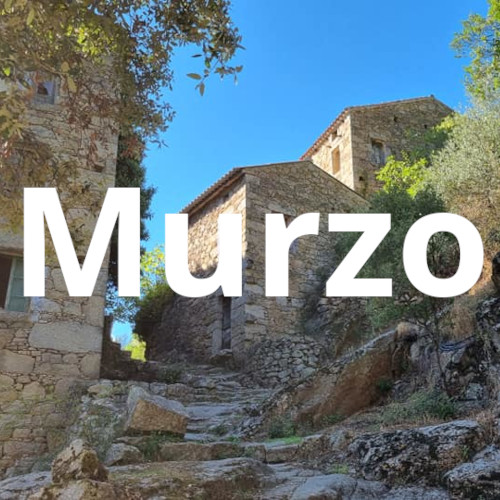 Murzo