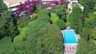 Vue aérienne d'une piscine entourée de verdure.