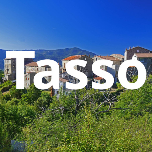 Tasso