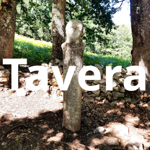 Tavera