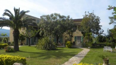 Hôtel Restaurant Auberge les Oliviers à Lucciana