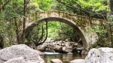pont génois zaglia