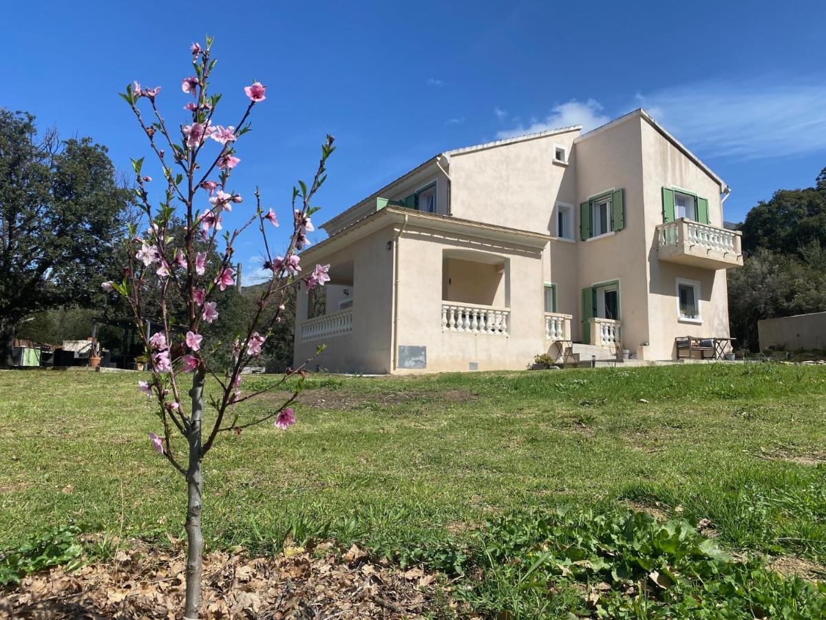 u farniente patrimonio