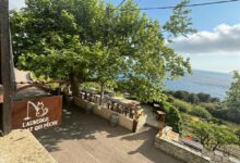 auberge du chat qui peche canari