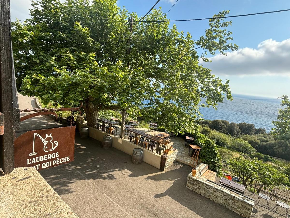 auberge du chat qui peche canari