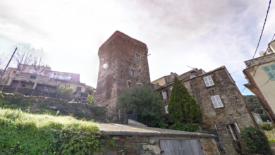 torra di ciocce pino