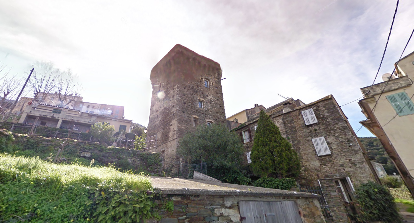 torra di ciocce pino