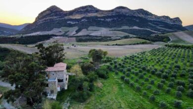 Chambres d'hôtes du Domaine Mulinu Biancu à Poggio-dʼOletta