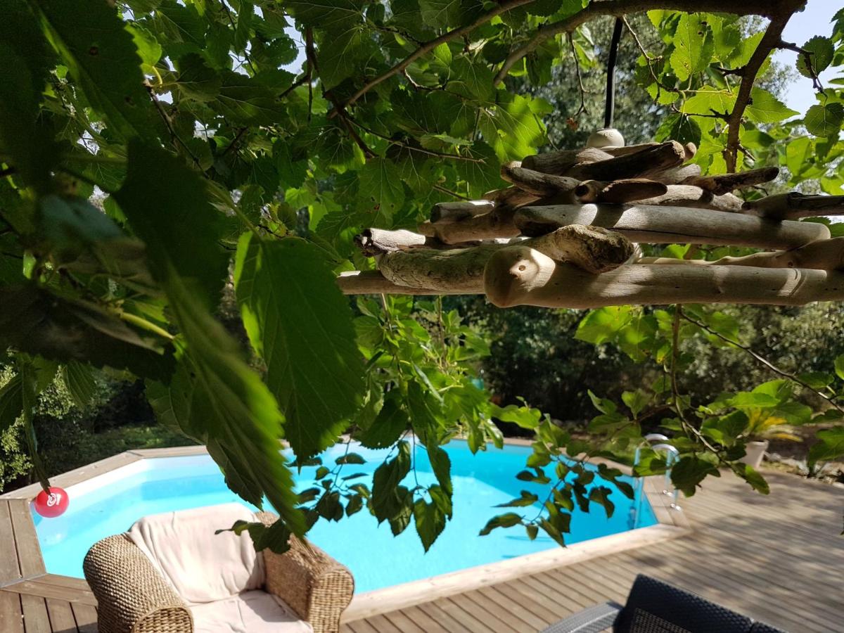 autour du hamac moltifao