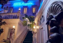 hotel restaurant le magnolia calvi