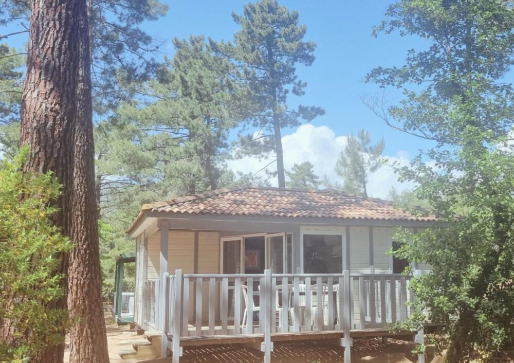 Chalet entouré de pins sous ciel ensoleillé.