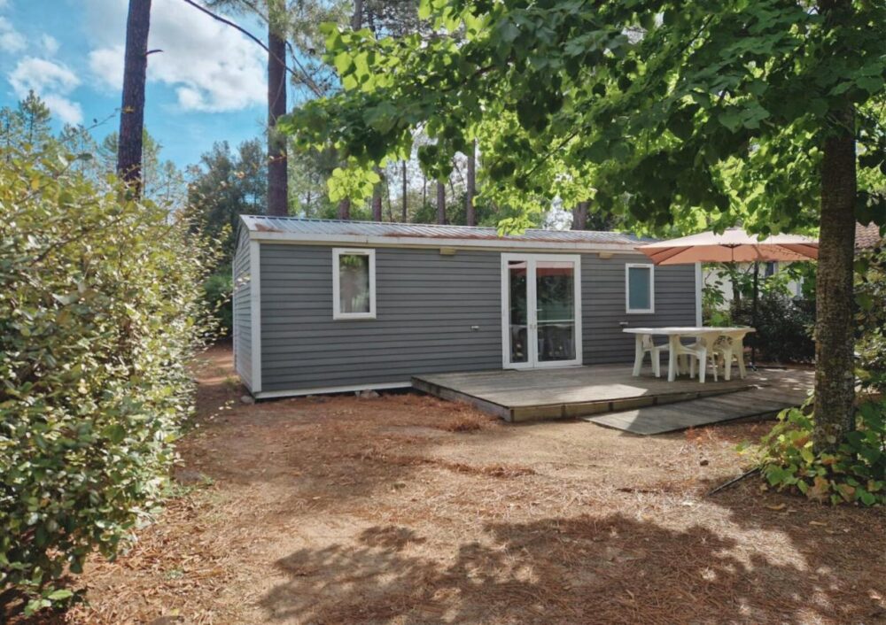 Chalet en bois avec terrasse dans la forêt