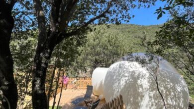 bulle du fangu galéria