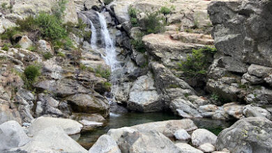 cascade des anglais vizzavona