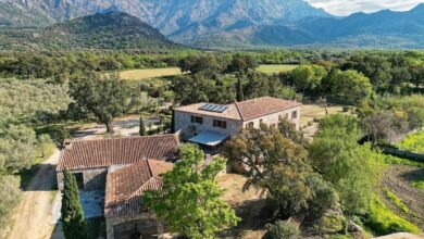 Domaine du Reginu Feliceto