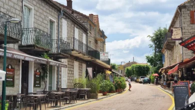 hotel restaurant l'aiglon zonza