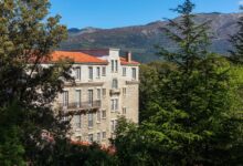 domaine le mouflon d'or
