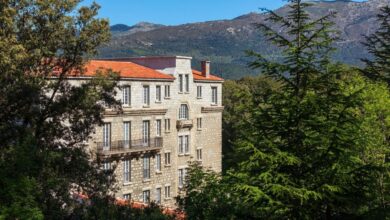 domaine le mouflon d'or