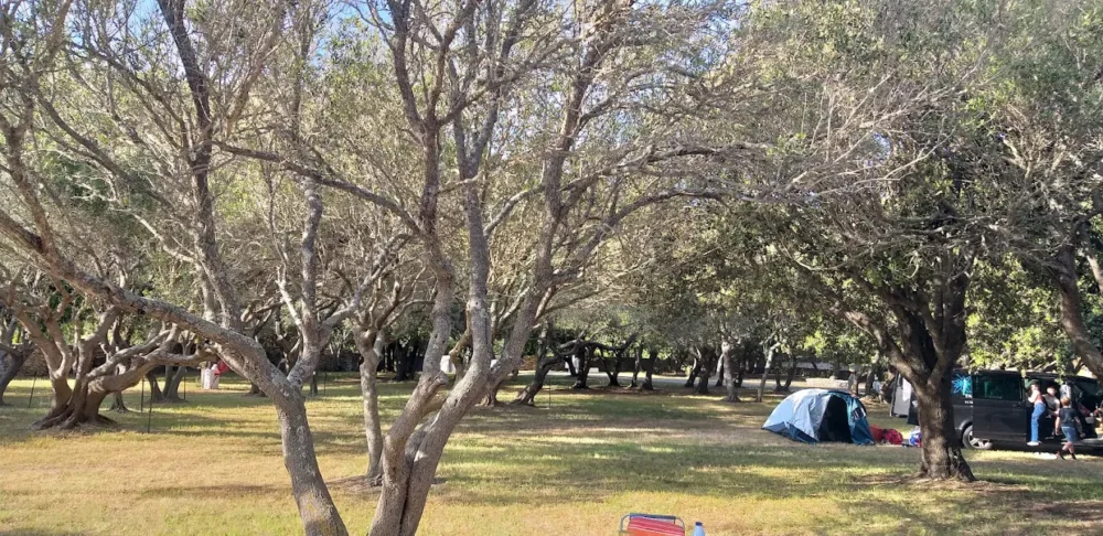 Camping La Pomposa bonifacio