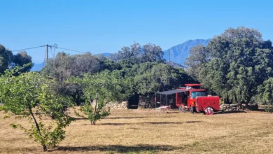 Camping à la ferme La Canardière