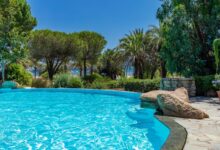 Piscine entourée de palmiers et végétation luxuriante.