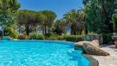 Piscine entourée de palmiers et végétation luxuriante.
