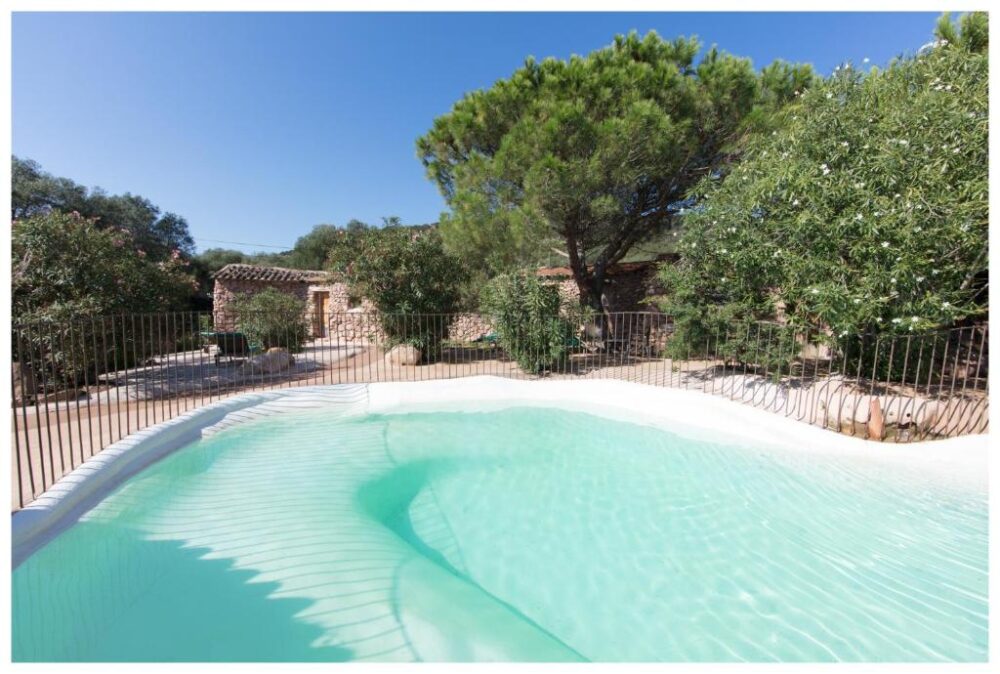 Piscine entourée de plantes et arbres ensoleillés.