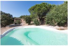 Piscine entourée de plantes et arbres ensoleillés.