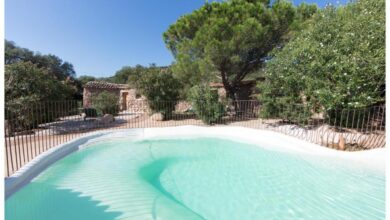 Piscine entourée de plantes et arbres ensoleillés.