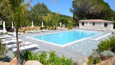Piscine extérieure entourée de chaises longues et arbres.