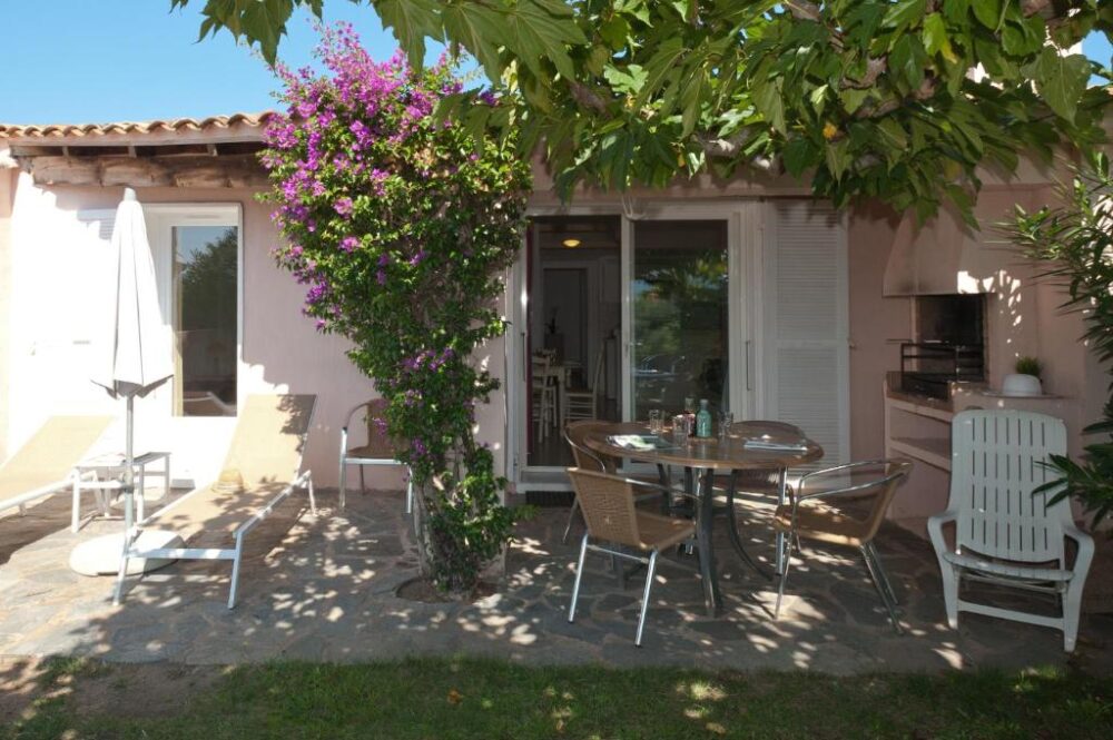 Terrasse avec table, chaises et arbuste fleuri.