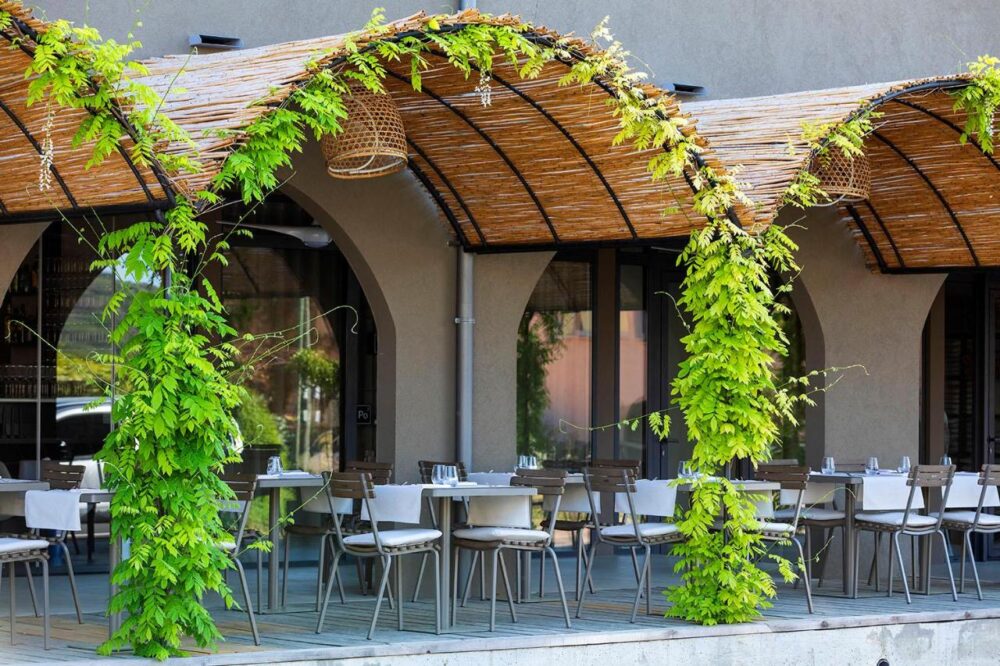 Terrasse de restaurant avec lianes et tables dressées.