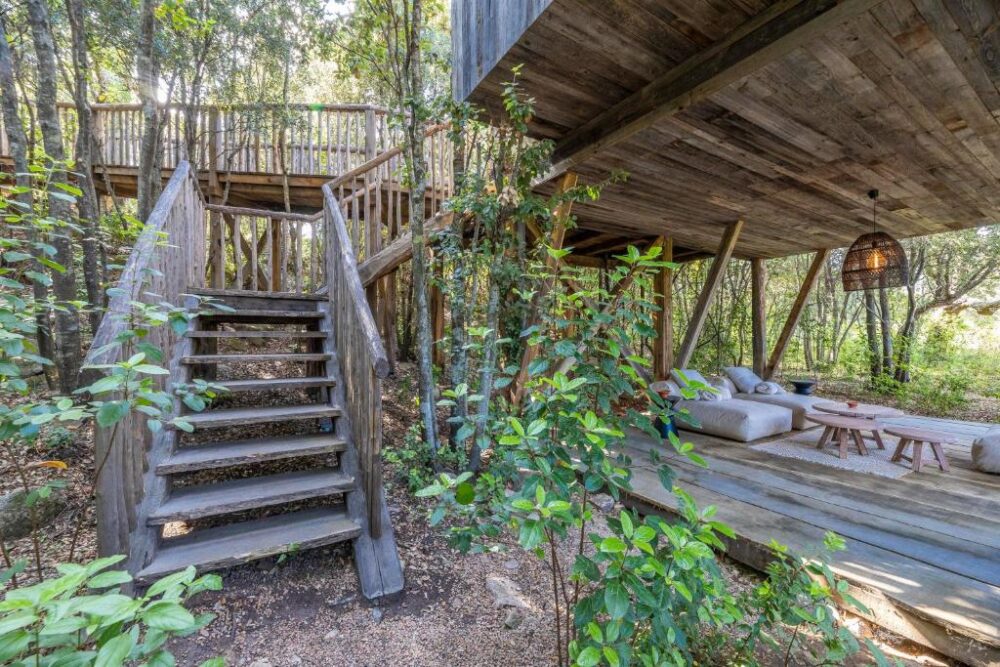 Cabane en bois rustique dans la forêt verdoyante.