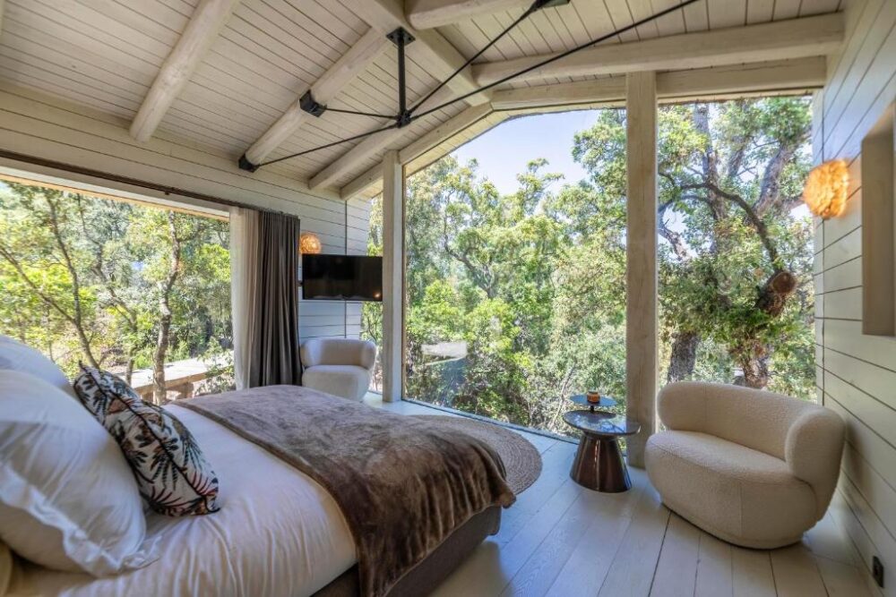Chambre avec grandes fenêtres, vue sur forêt luxuriante.