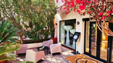Terrasse aménagée avec plantes et sièges élégants.