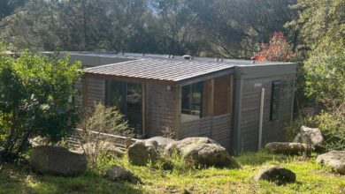 Cabane en bois dans la forêt ensoleillée.