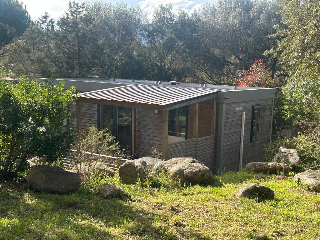 Cabane en bois dans la forêt ensoleillée.