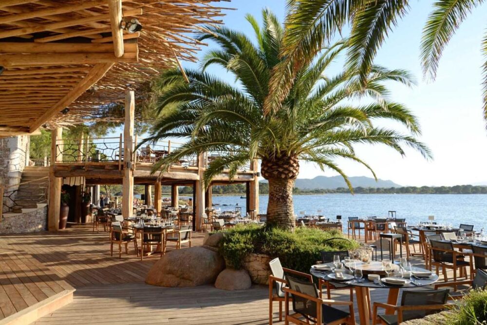 Restaurant terrasse avec vue sur mer et palmier.