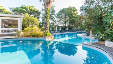 Piscine entourée d'arbres et chaises longues.