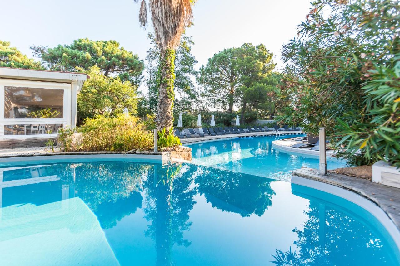 Piscine entourée d'arbres et chaises longues.