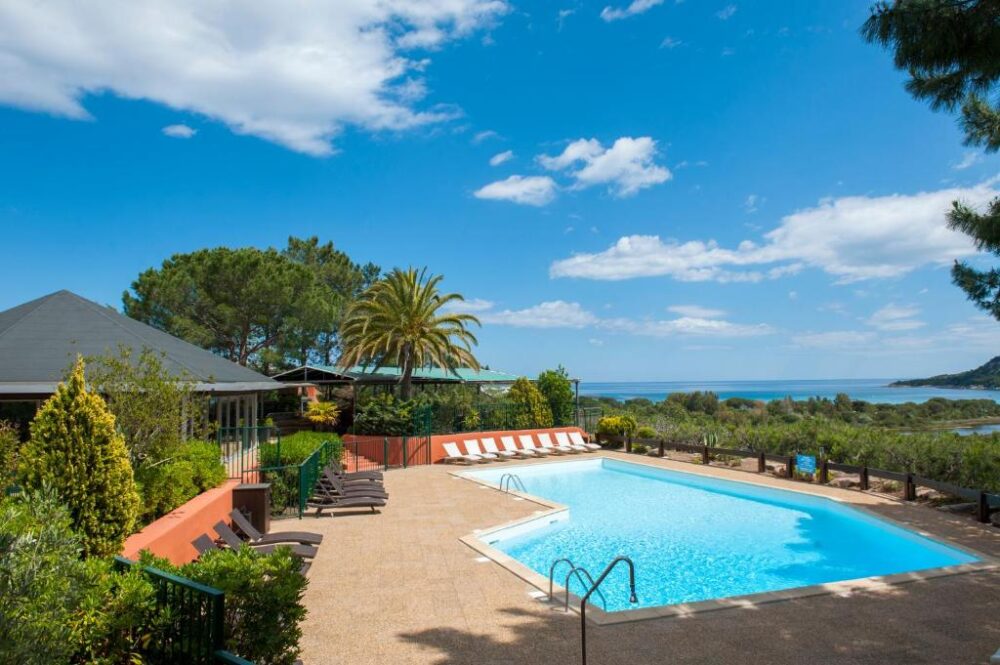 Piscine avec vue mer et palmiers.