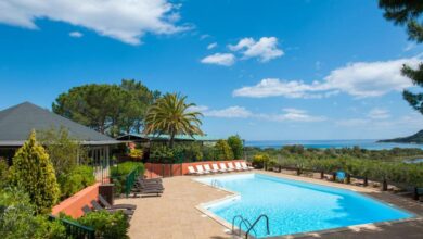 Piscine avec vue mer et palmiers.