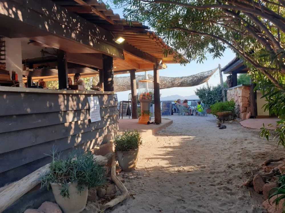 Terrasse de bar sur la plage ombragée.