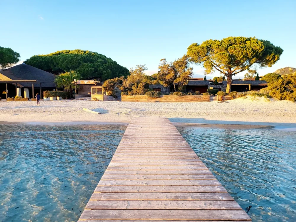 Ponton menant à une plage ensoleillée bordée d'arbres.