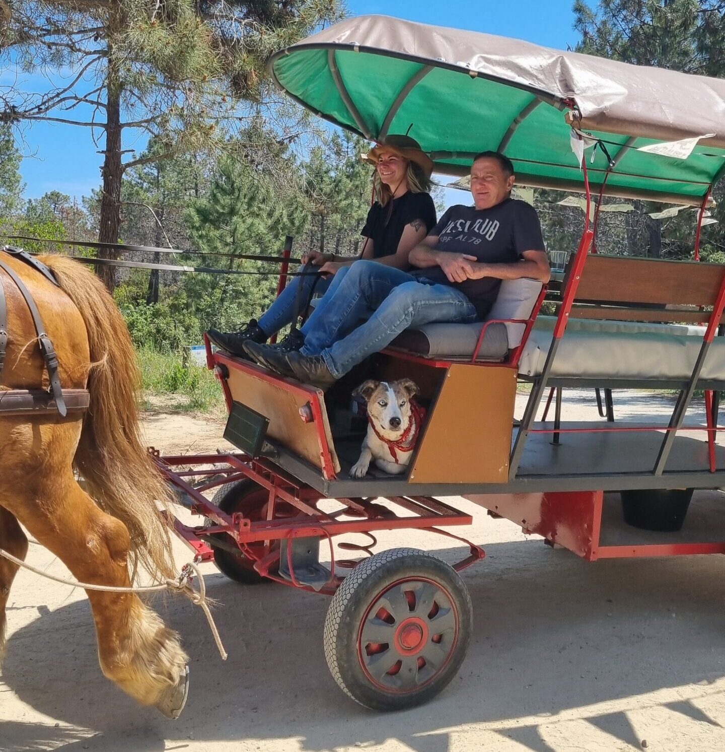 Balade en calèche avec cheval et passagers souriants.