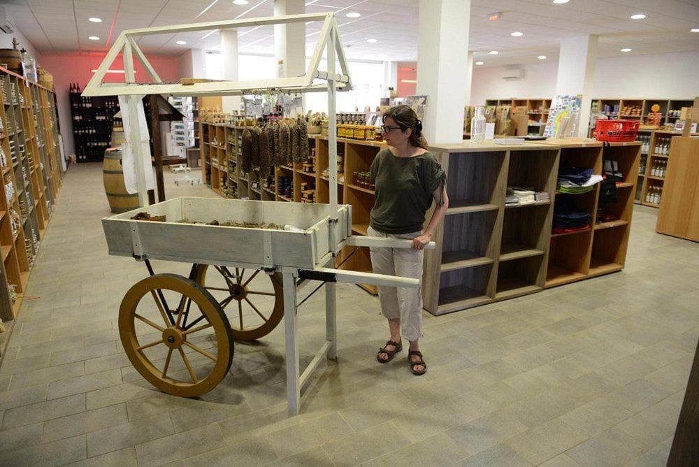 Femme avec chariot dans un magasin.
