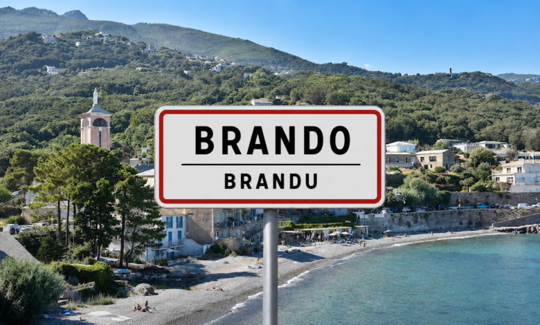 brando brandu